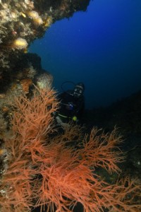 Rocky Bay - southernmost Aliwal Shoal