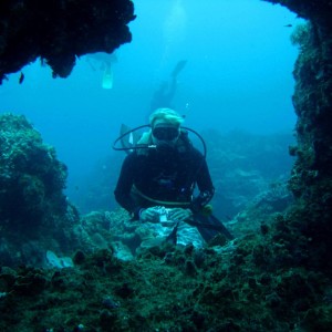 Reef diving Sodwana Bay